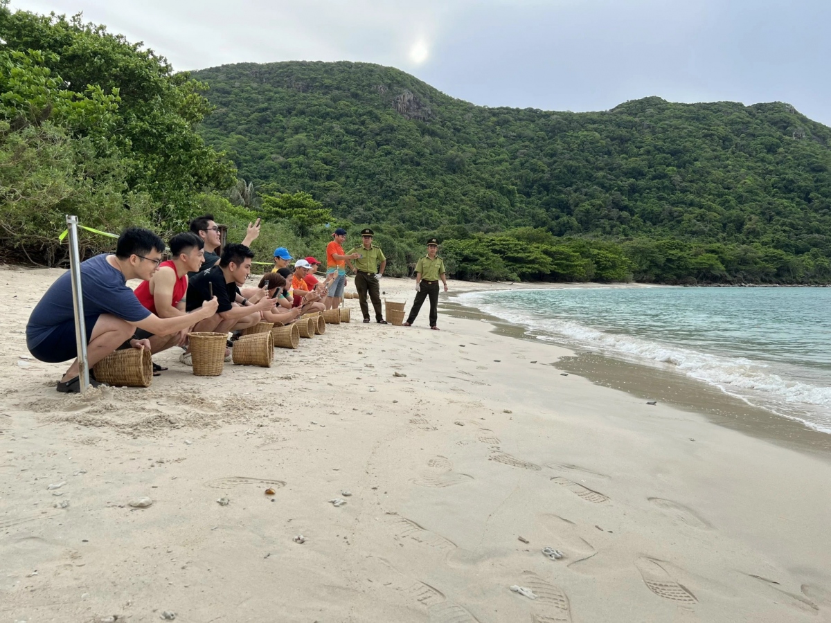 Malaysian baby sea turtles released into the sea in Con Dao